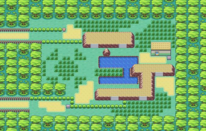 口袋妖怪火红彩虹市之后去哪里3