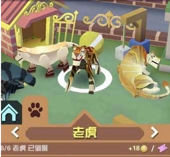 疯狂动物园的斑马怎么抓1