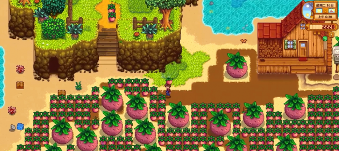 星露谷物语甜瓜的收益怎么样1