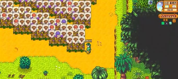 星露谷物语苔藓的生成规律是什么1