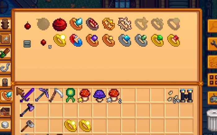 星露谷物语推荐什么戒指1