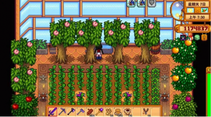 星露谷物语怎么赚钱快1