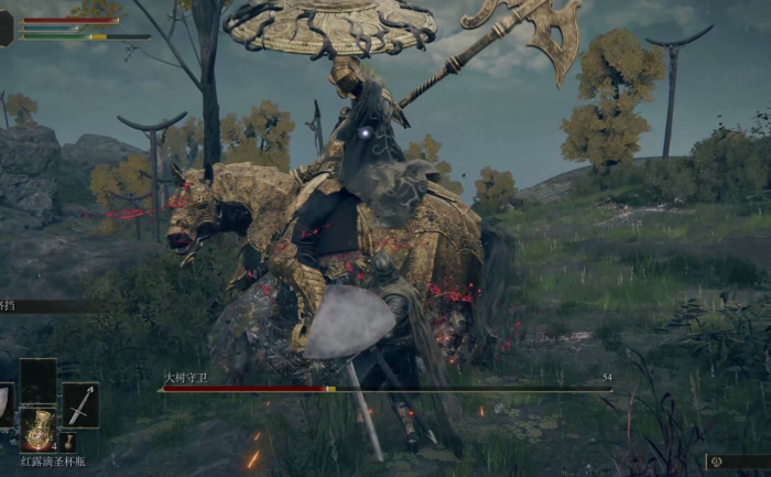 艾尔登法环武器选什么1