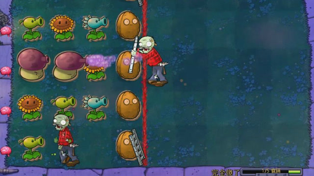 植物大战僵尸怎么架扶梯1