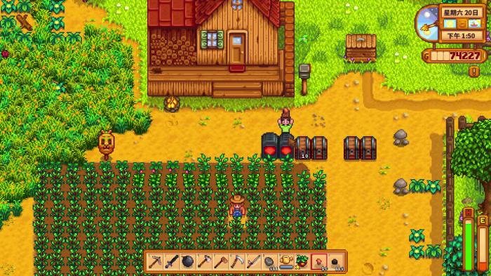 星露谷物语养鸡怎么赚钱3