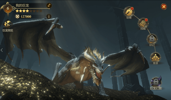 阿瓦隆之王白龙组有什么玩法1