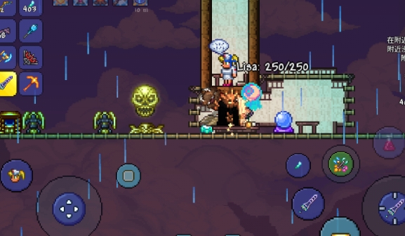 泰拉瑞亚哪些宠物可以买到2