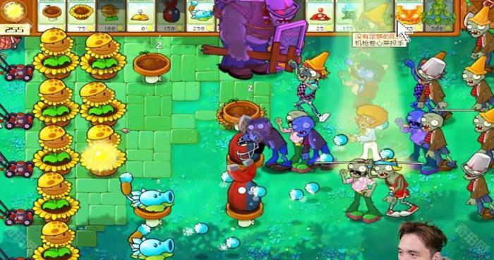 《植物大战僵尸杂交版》冒险模式第38关通关攻略3