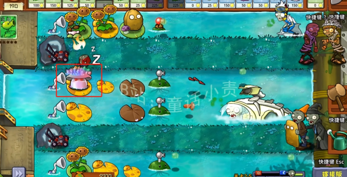 植物大战僵尸嫁接版新植物魅惑寒冰菇介绍3