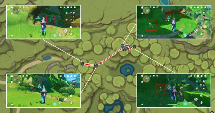 《原神》妮露突破材料帕蒂莎兰采集攻略10