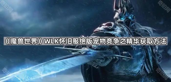 《魔兽世界》WLK怀旧服绝版宠物竞争之精华获取方法1