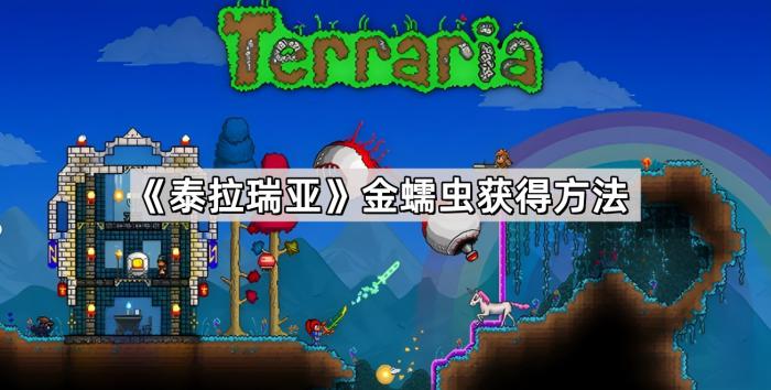 《泰拉瑞亚》金蠕虫获得方法1