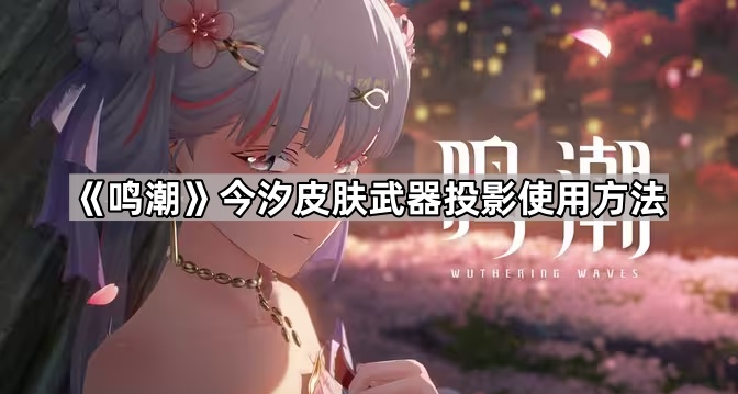 《鸣潮》今汐皮肤武器投影使用方法1