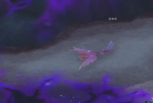 魔兽世界邪斑鱼卵怎么获得4