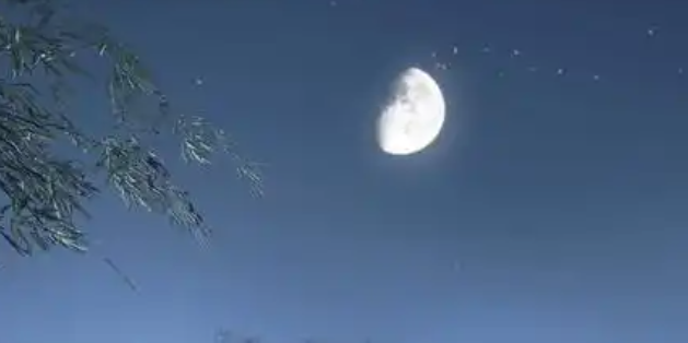 逆水寒手游童稚之交怎么过1