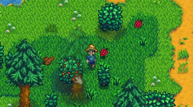 星露谷物语美洲大树莓怎么获得1