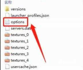 我的世界伽马值怎么调3