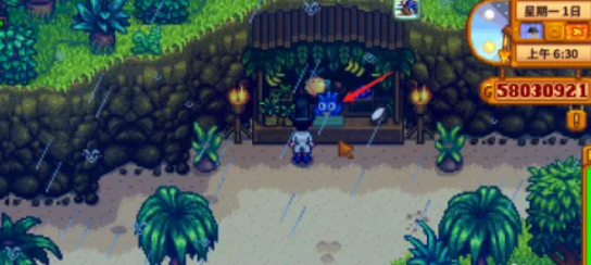 星露谷物语金椰子怎么砸开5