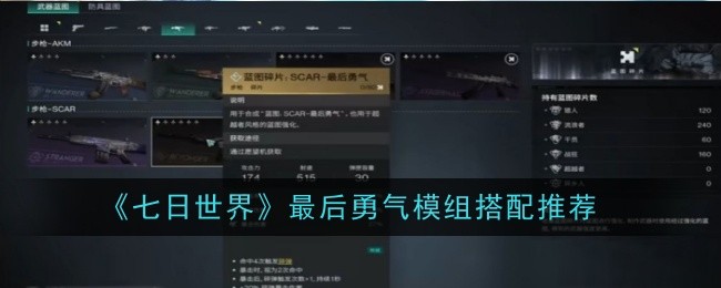 七日世界最后勇气模组怎么搭配1