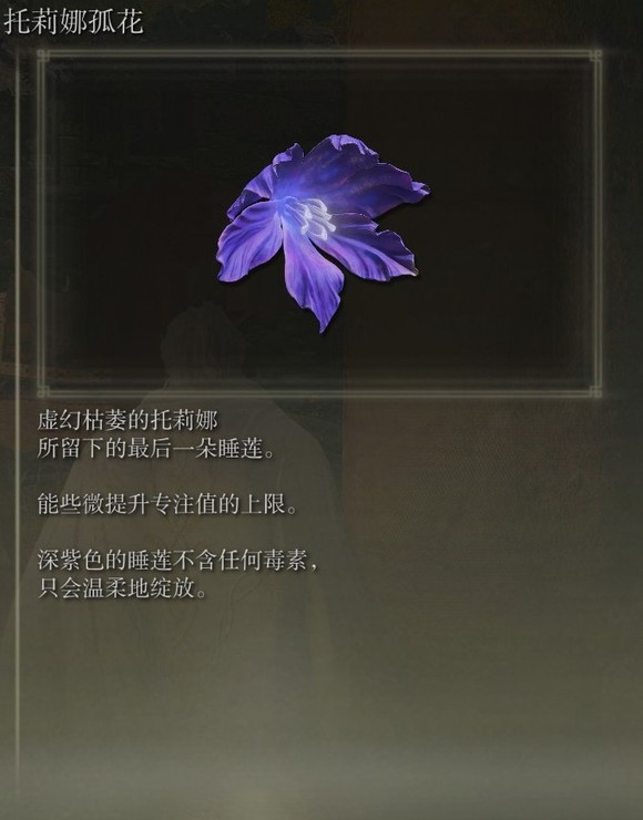 艾尔登法环dlc托莉娜孤花的获得方法1