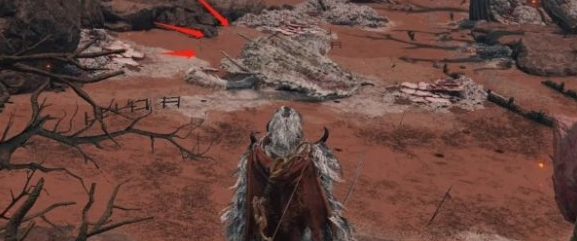 艾尔登法环巨龙怎么打1