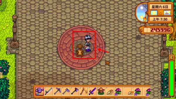 星露谷物语特殊的魅力怎么获得2