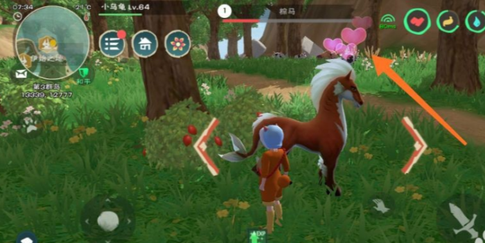 创造与魔法马怎么驯服2