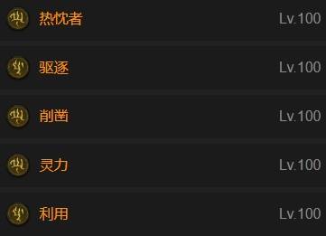 暗黑4S11狂热者长枪圣骑士BD推荐3