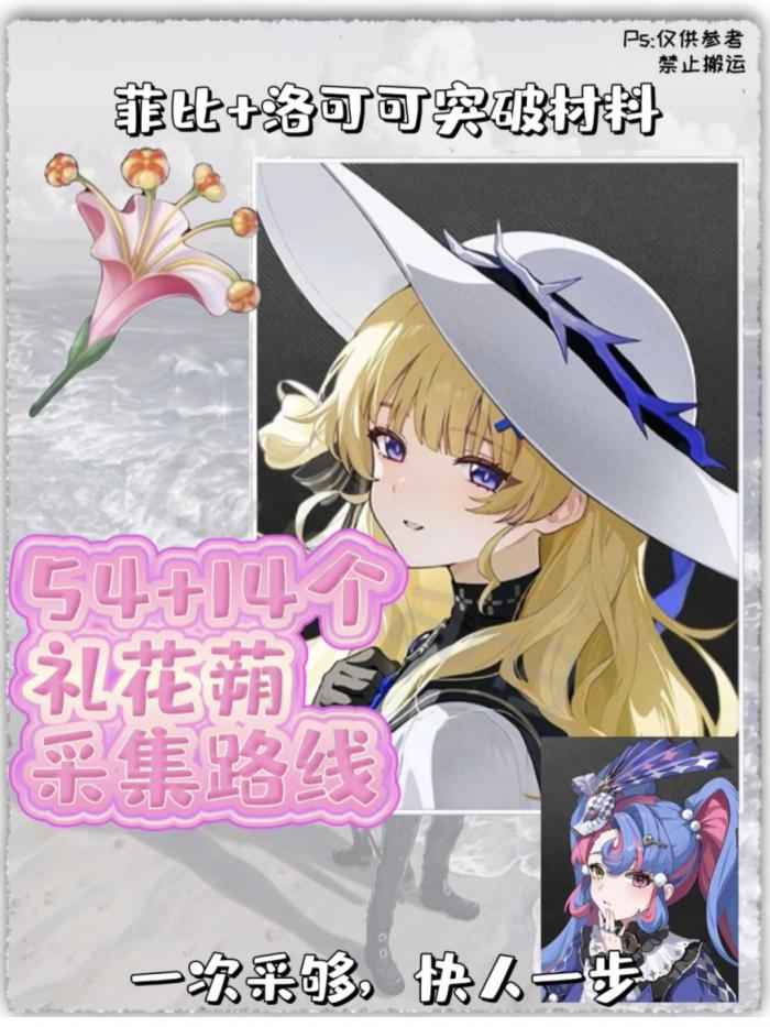 鸣潮礼花蒴采集路线1