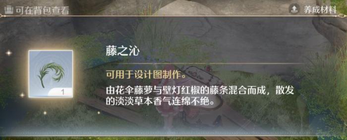 无限暖暖藤之沁在哪里17