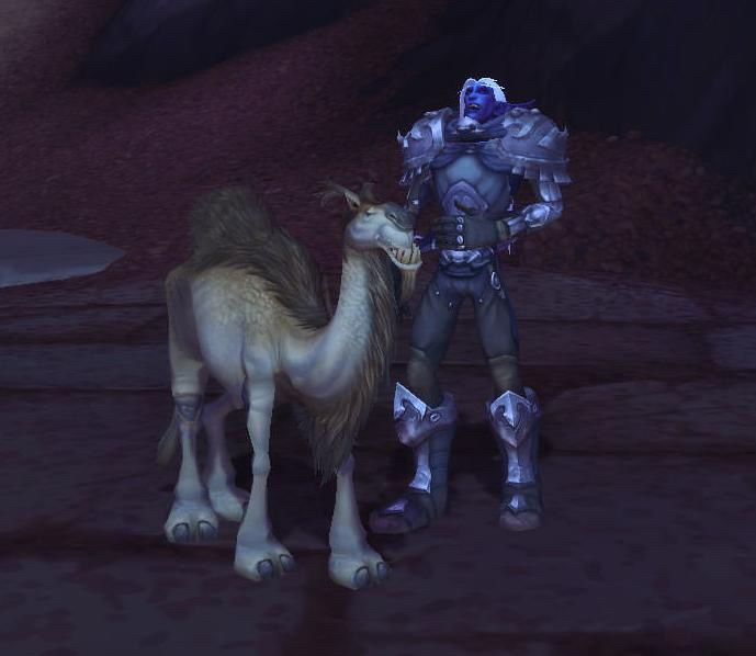 《魔兽世界》收藏向趣味物品挖掘12