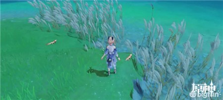 原神金鳅鳅怎么抓3