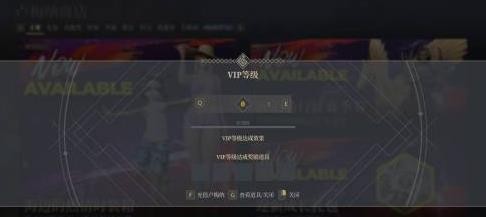 神佑释放vIP等级查看方法4