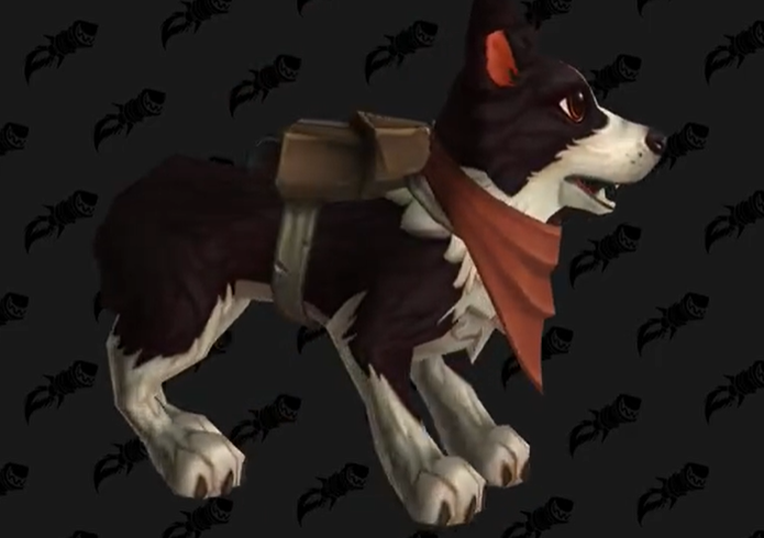 魔兽世界斯考特获得方式1