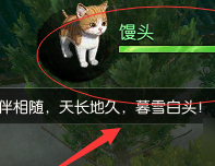 《逆水寒》宠物猫获取攻略2