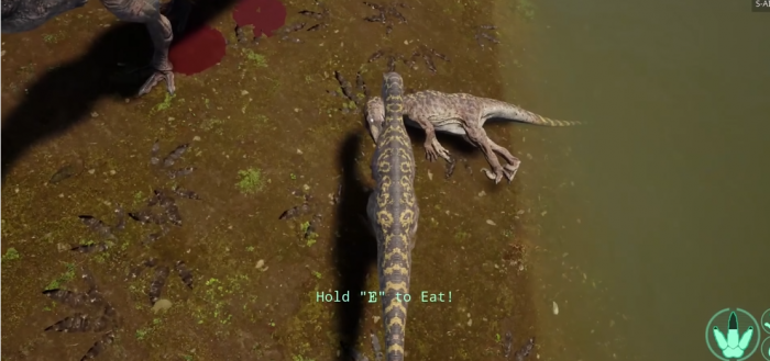 恐龙岛最强变异龙是什么动物2