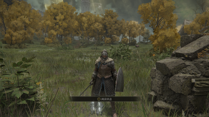 艾尔登法环载入游戏很慢怎么回事3