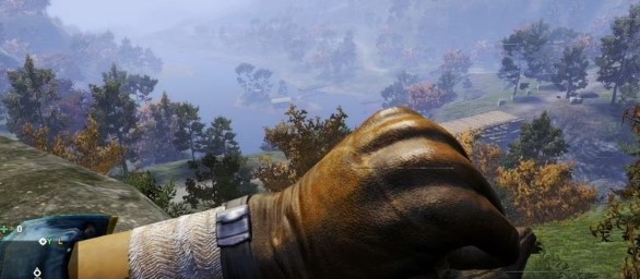 孤岛惊魂4新手怎么生存1