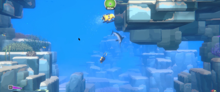 潜水员戴夫旗鱼在哪3