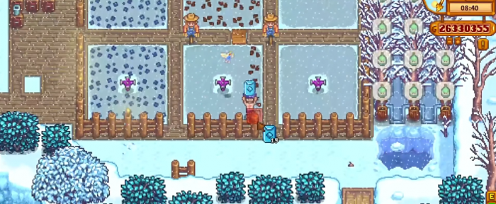 星露谷物语萌新第一年冬天要干嘛2