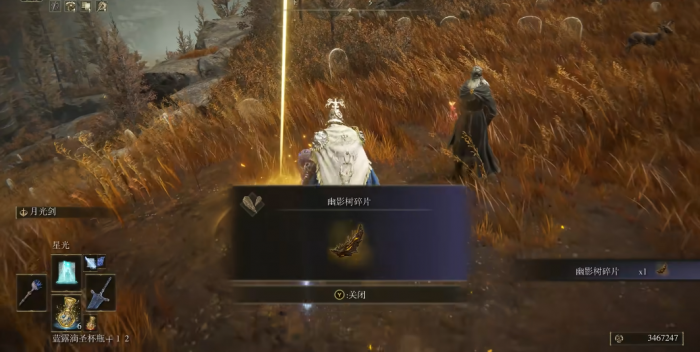 艾尔登法环幽影树碎片去哪拿3