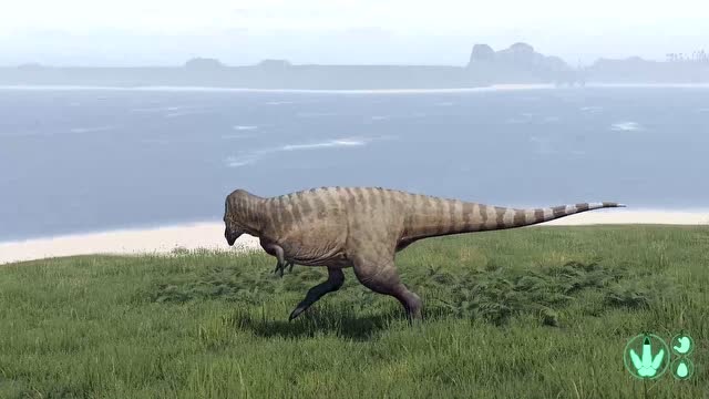 恐龙岛选什么恐龙好2