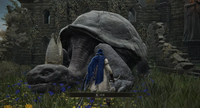 艾尔登法环乌龟老师剧情是什么2