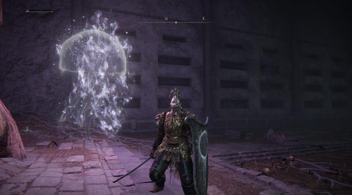 艾尔登法环有什么角色4