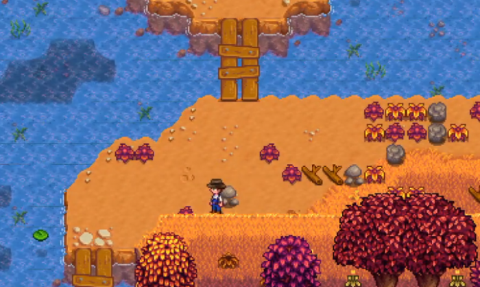 星露谷物语海莉暗室怎么选1