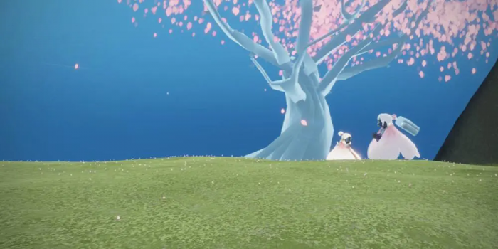 光遇小樱花树有什么用2