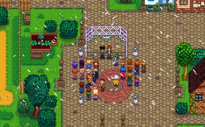 星露谷物语怎么结婚3