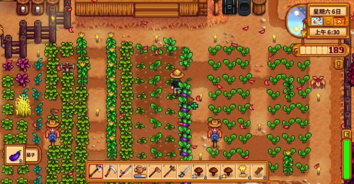 星露谷物语茄子有哪些特性1