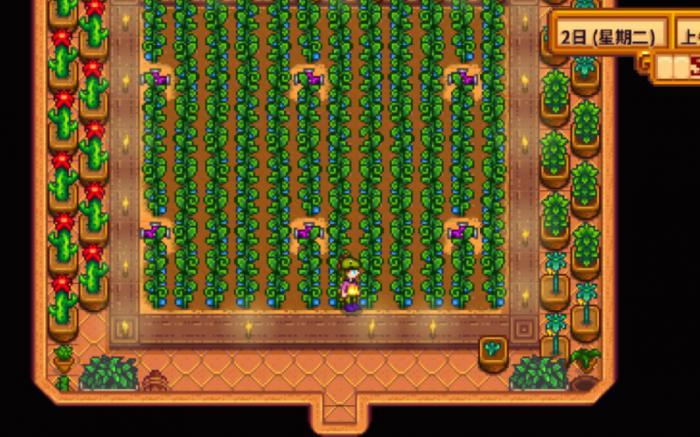 星露谷物语上古水果有哪些属性2