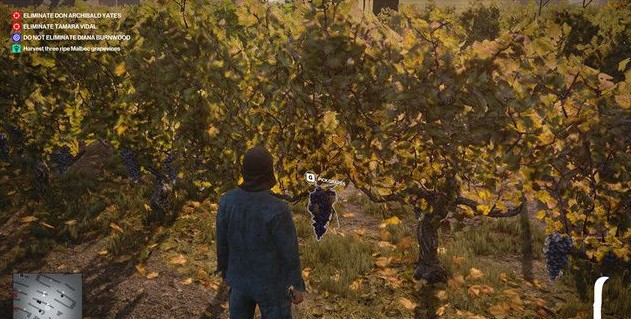 杀手3奇妙之旅任务流程是什么2